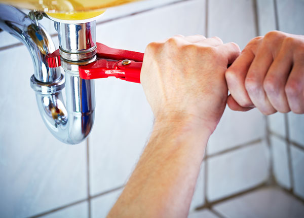 About Frankton Plumbers